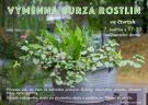Burza rostlin 1